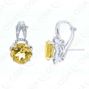 9 KARAT DIAMOND AND GEMSTONE EARRING